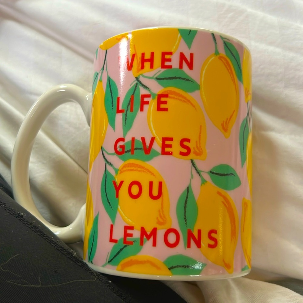 Art Wow 🍋 When Life Gives You Lemons 🍋 Artist Ceramic Mug 20oz.